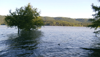 Greer's Ferry Lake