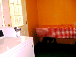 the Laundry